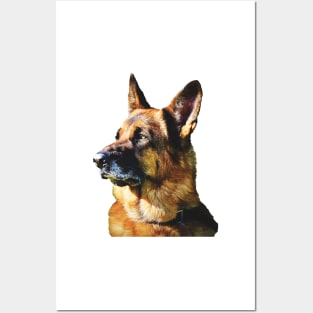 German Shepherd the best dog for you Posters and Art